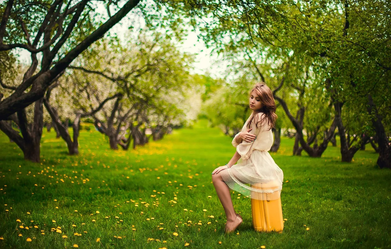 Фото обои Apple, Girl, Nature, Grass, Green, Sun, Yellow, Garden