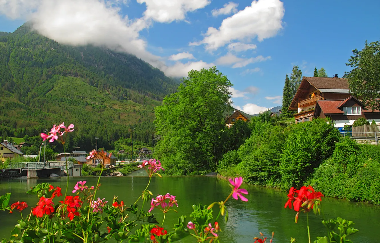 Фото обои лес, облака, деревья, цветы, горы, озеро, дома, Австрия