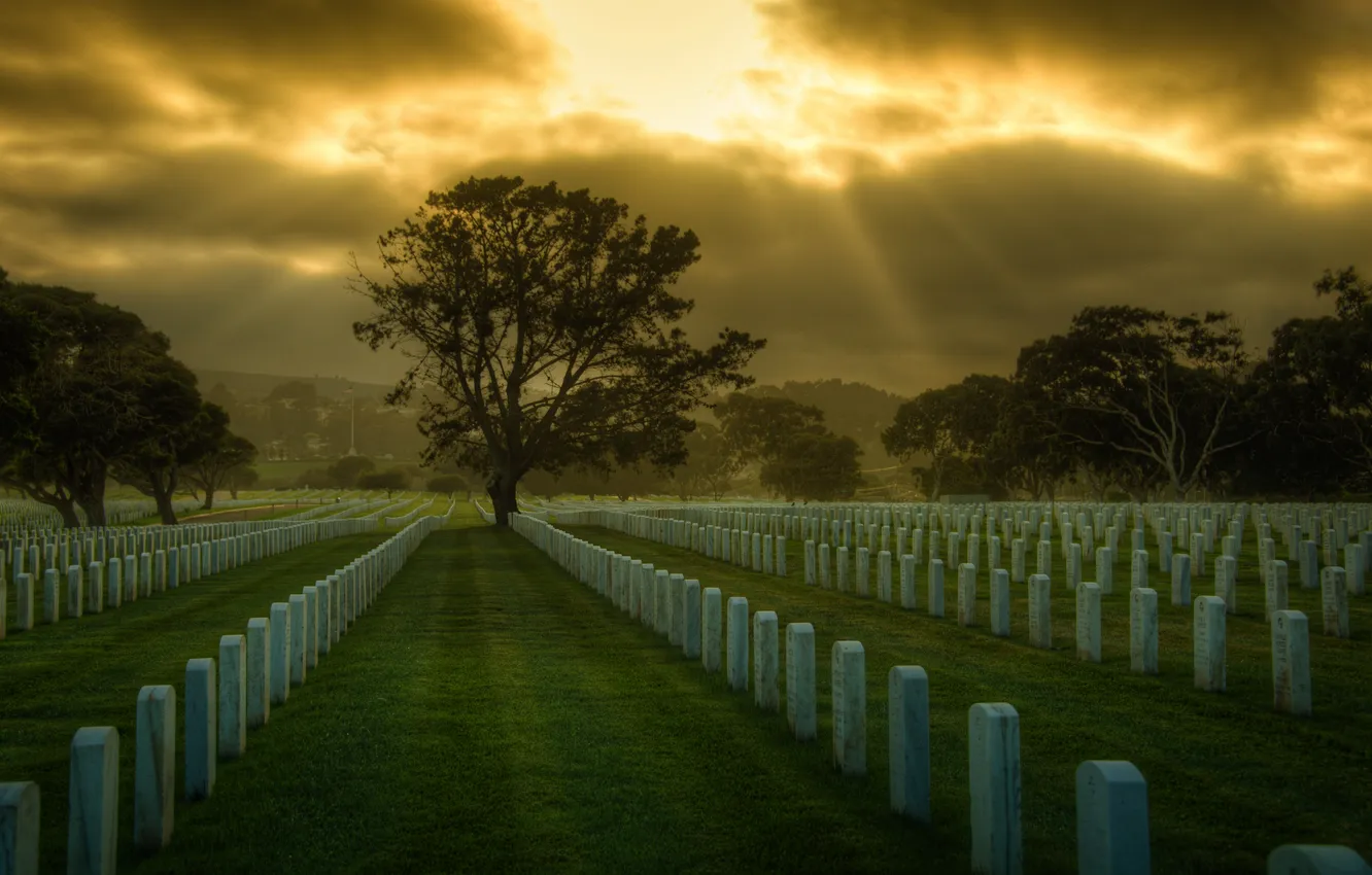 Фото обои кладбище, Сан-Франциско, USA, США, San Francisco, сemetery