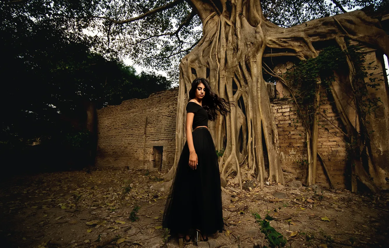 Фото обои девушка, деревья, Kiara