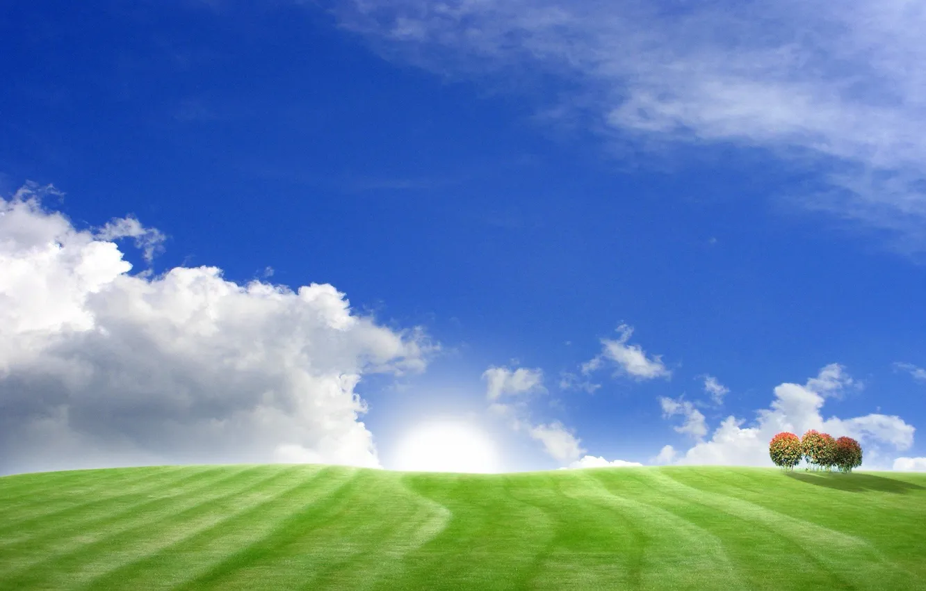 Фото обои поле, небо, трава, деревья, холмы, пейзажи, поля