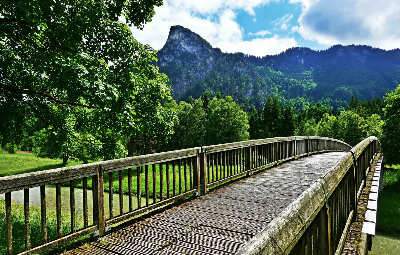 Фото обои forest, river, bridge, mountains, beautiful landscape