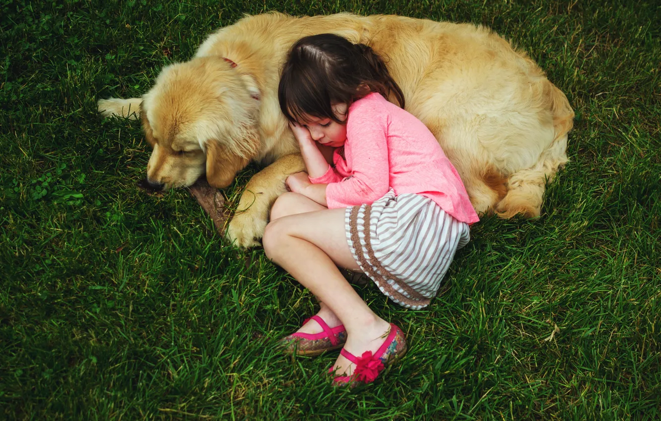 Фото обои отдых, собака, девочка