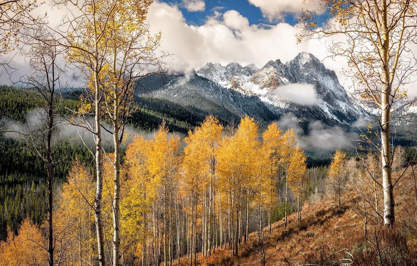 Фото обои осень, горы, природа