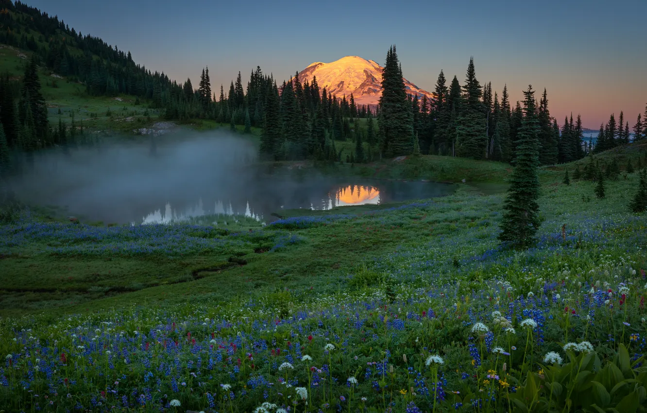 Фото обои поле, лес, озеро