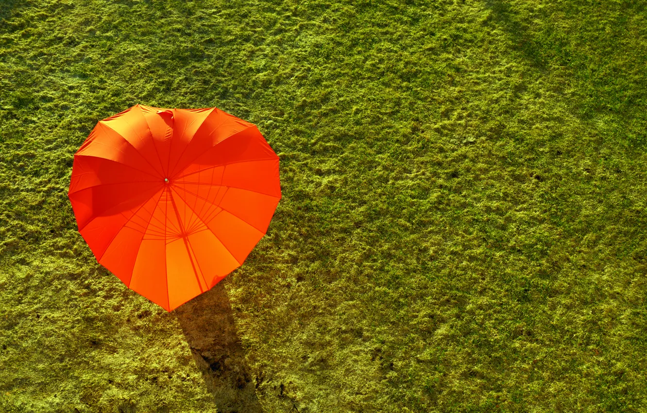 Фото обои green, red, summer, grass, holidays, field, umbrella, sunlight