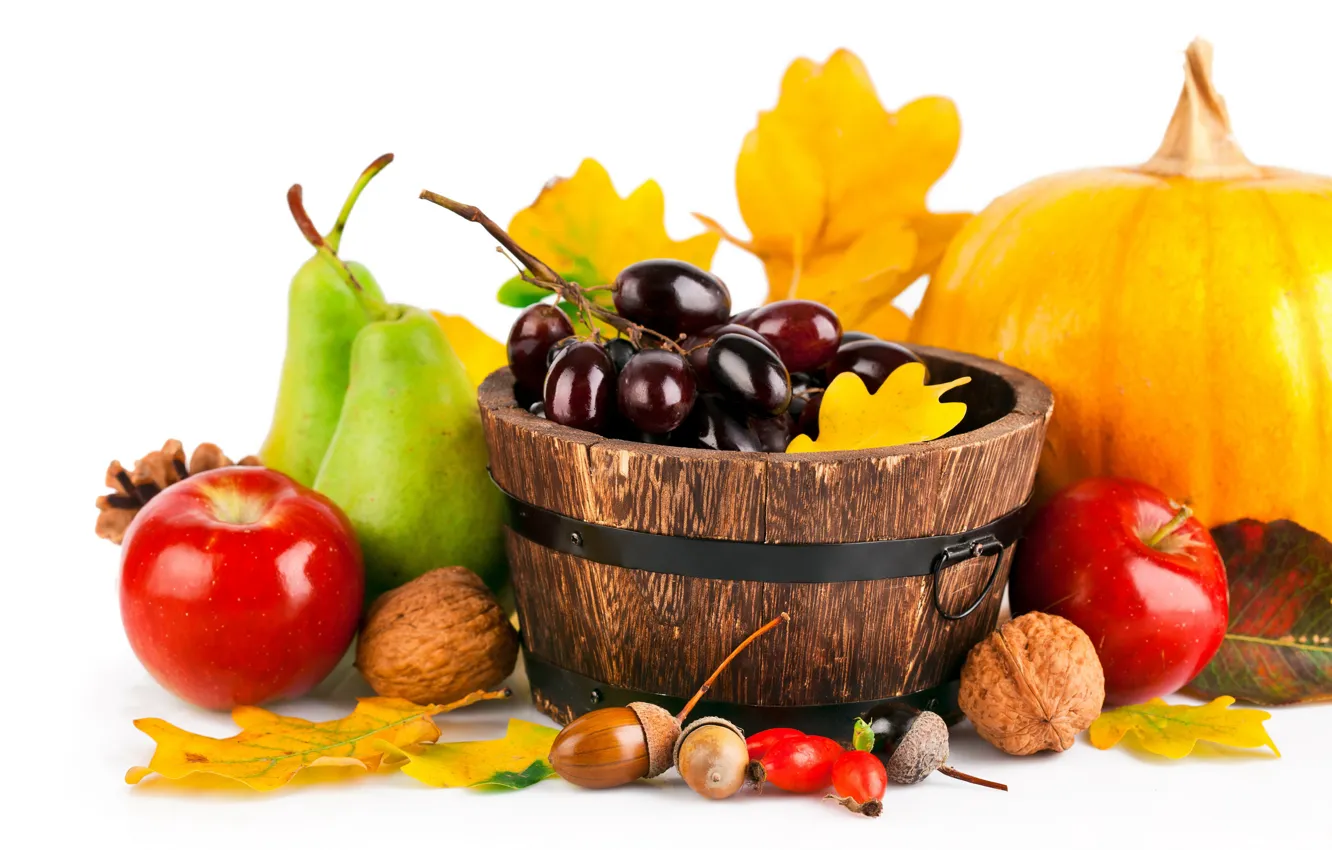 Фото обои осень, листья, яблоки, шиповник, виноград, белый фон, тыква, орехи
