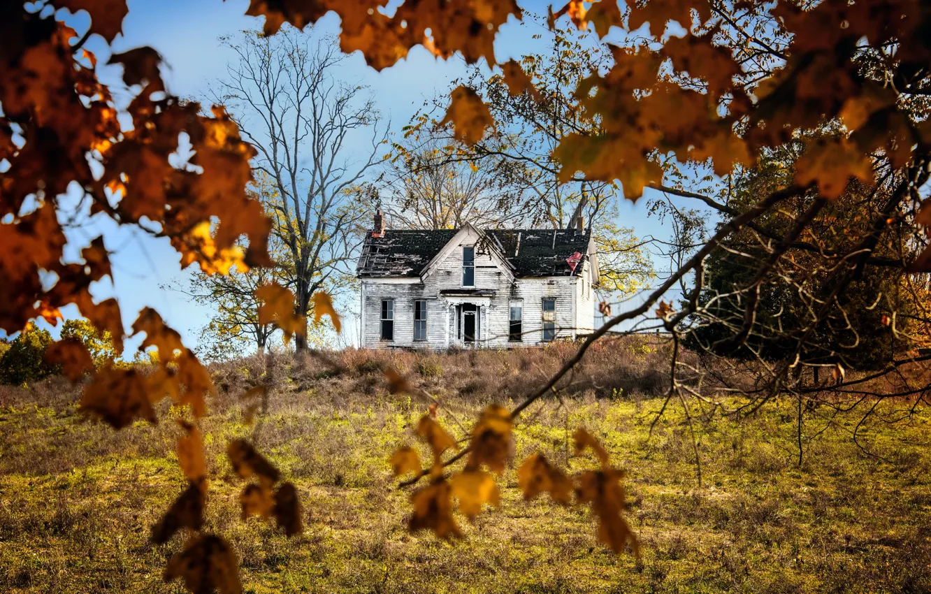 Фото обои осень, природа, дом