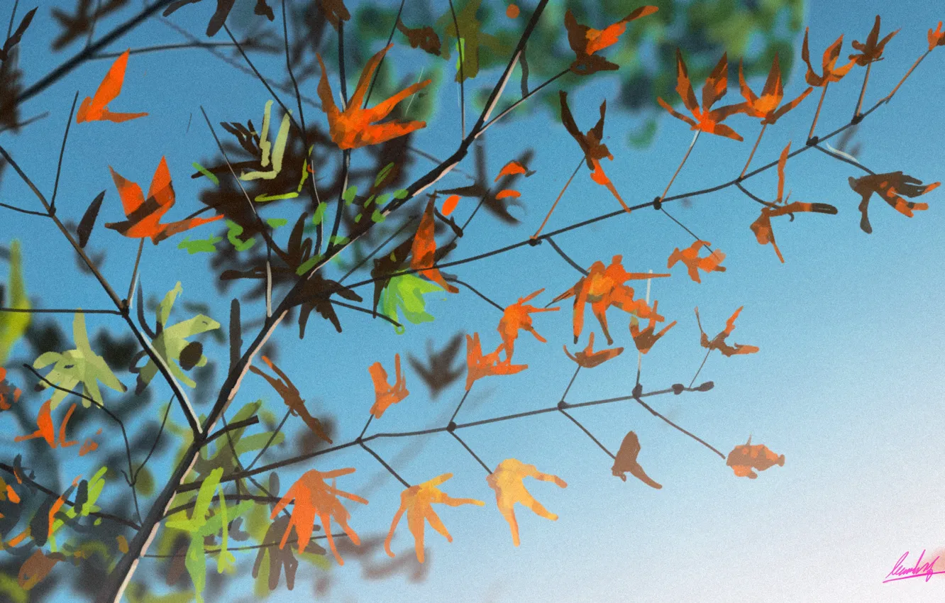 Фото обои небо, листья, ветка