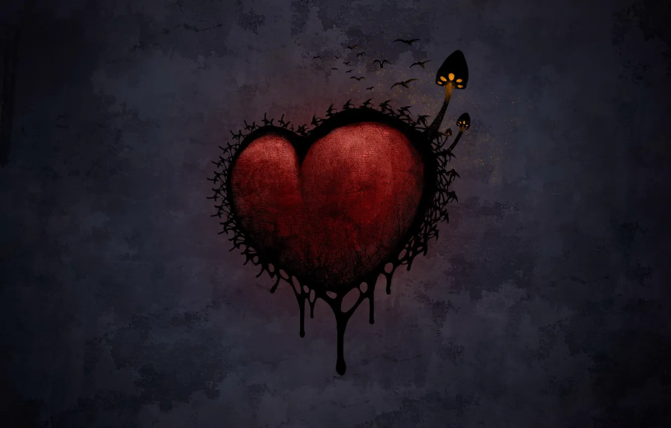 Фото обои мрак, грибы, Сердце