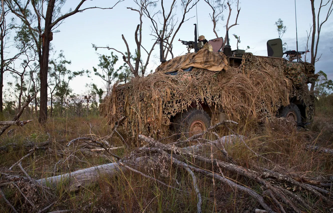 Фото обои soldier, Australian Army, Blue Dog