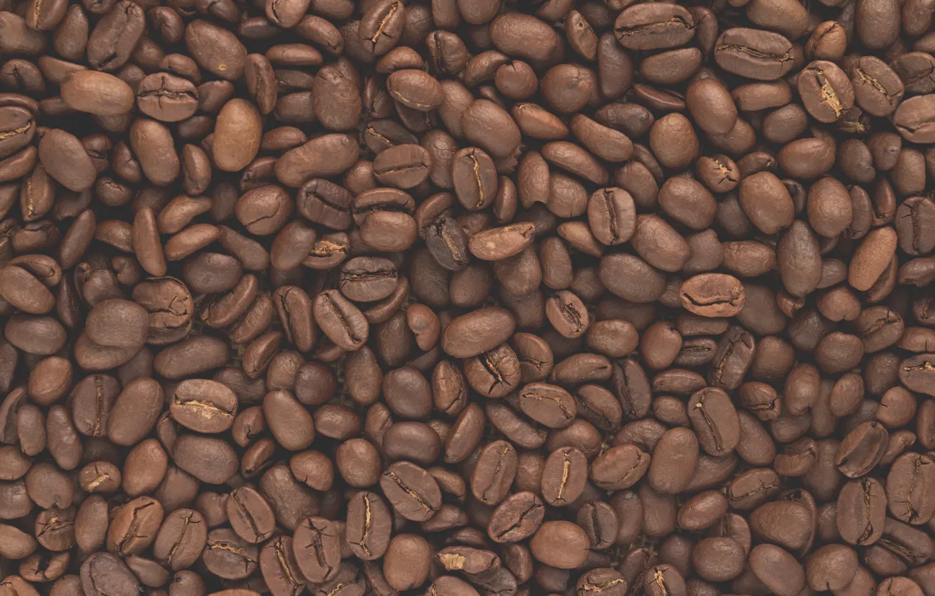 Фото обои кофе, зерна, текстура
