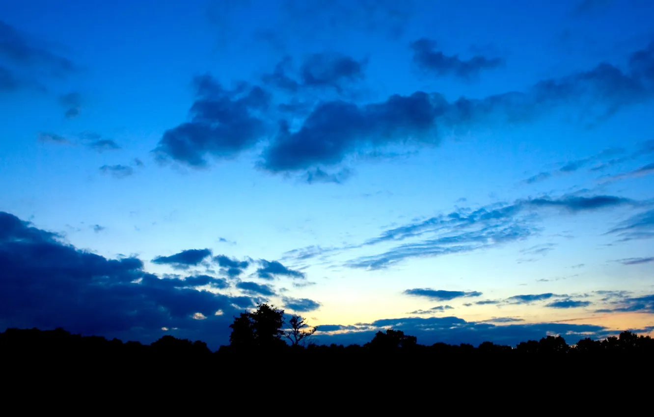 Фото обои небо, облака, деревья, вечер