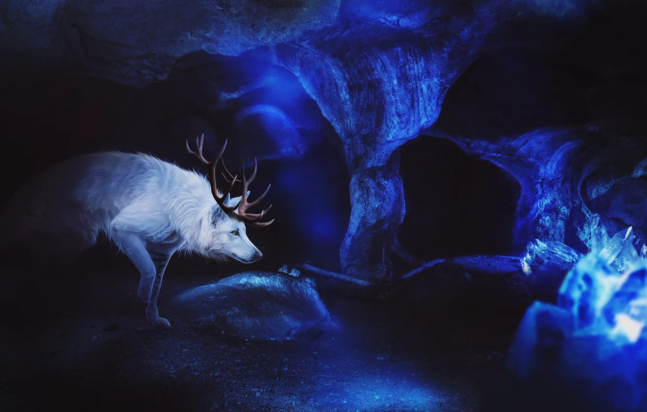 Фото обои лед, волк, фэнтези, пещера, by Fiirewolf