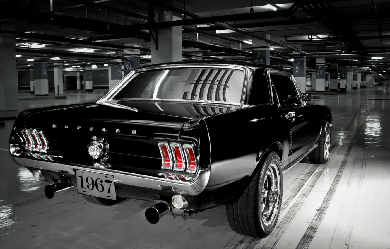Фото обои Mustang, Ford, Muscle Car