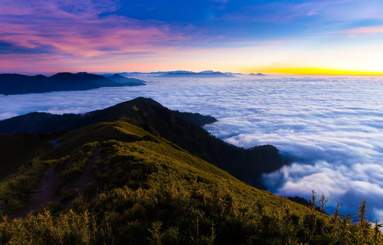 Фото обои лес, облака, горы, туман, утро, панорама, расвет