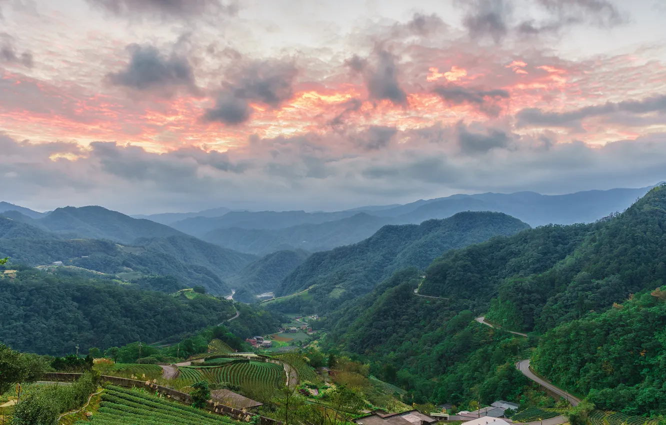 Фото обои лес, горы, Тайвань, дымка