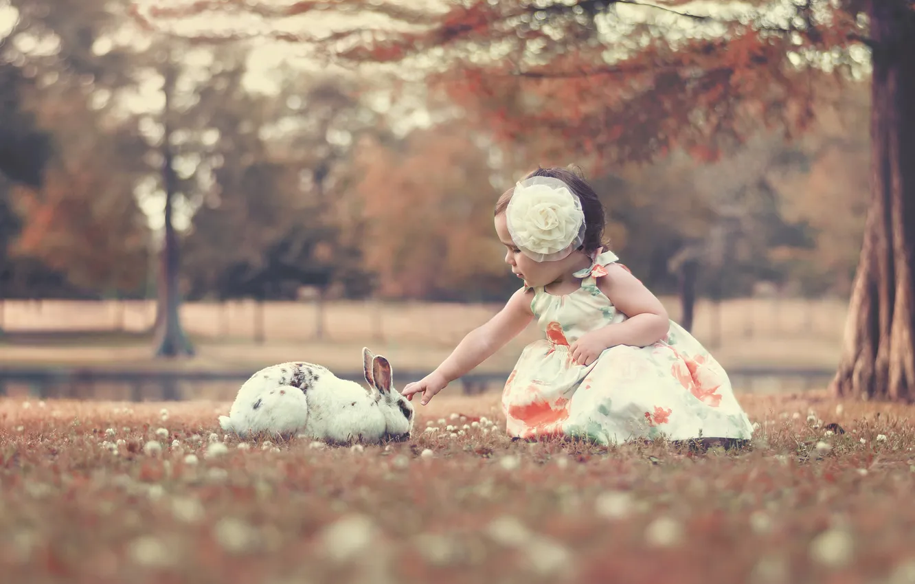 Фото обои кролик, девочка, бант