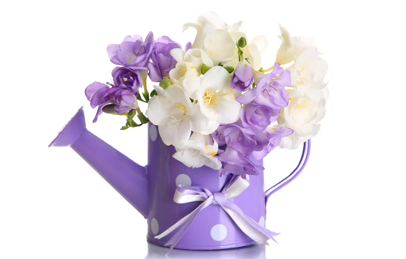 Фото обои цветы, лейка, flowers, violet