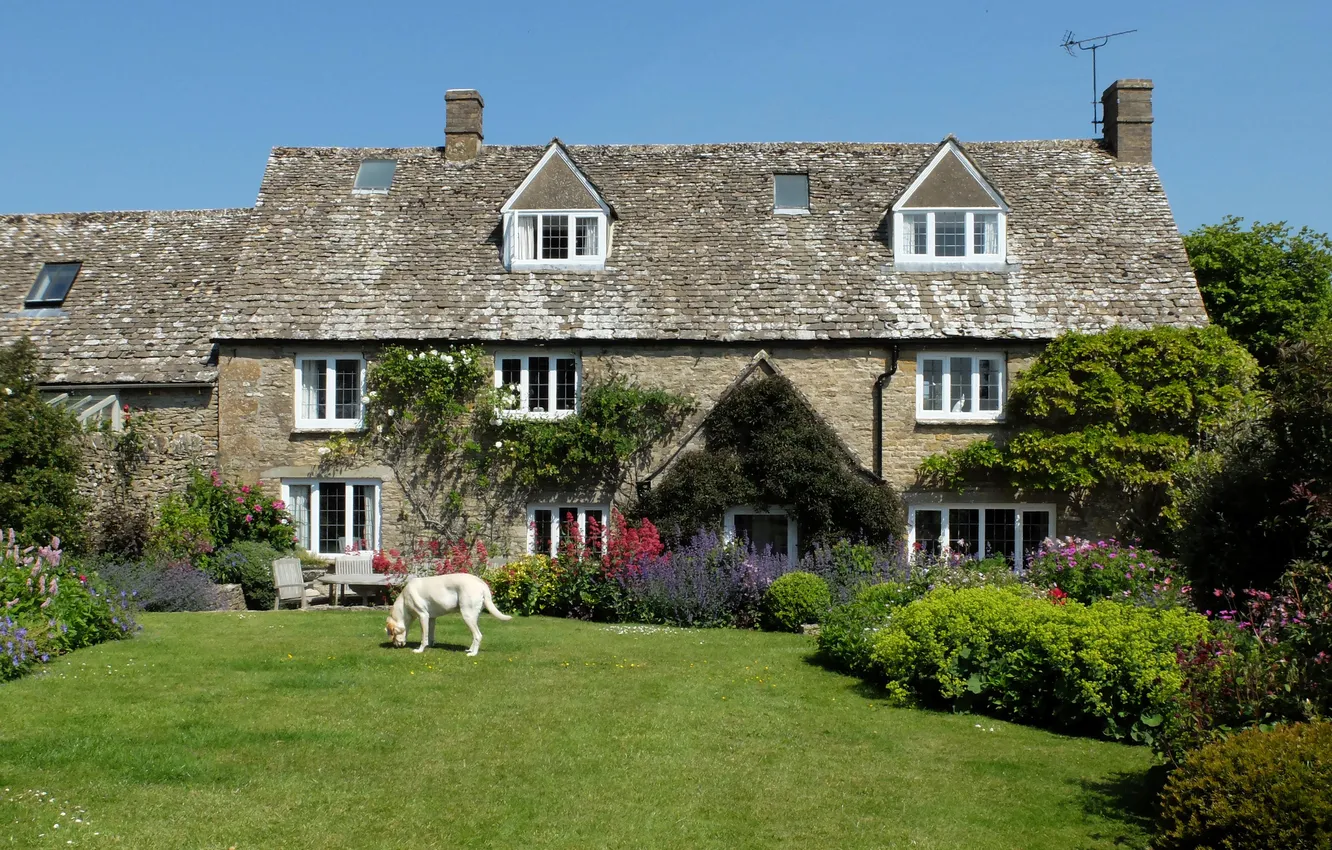 Фото обои дом, газон, собака, сад, Великобритания, кусты, Cotswolds