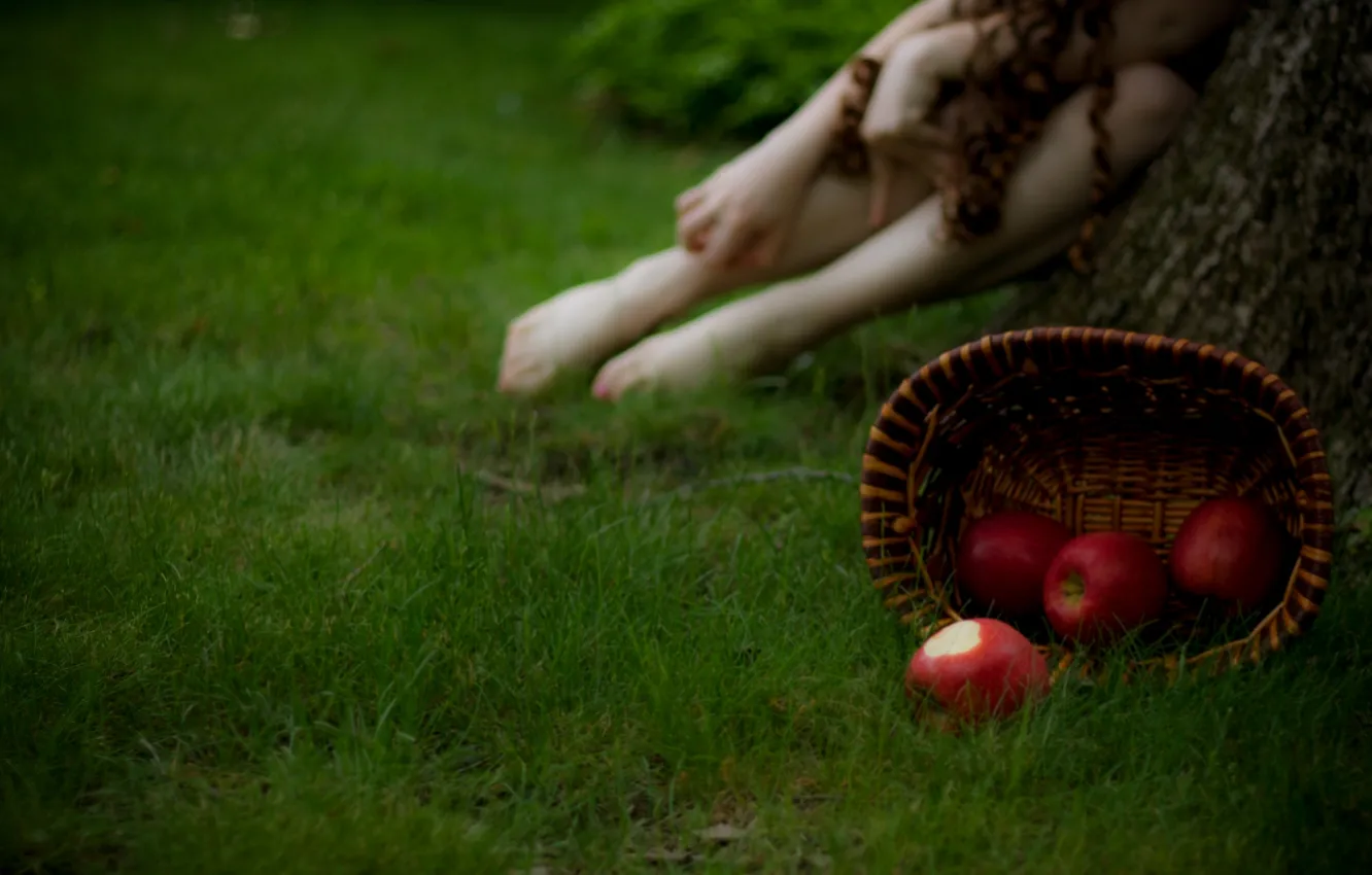 Фото обои трава, девушка, макро, фото, фон, корзина, яблоки, размытость