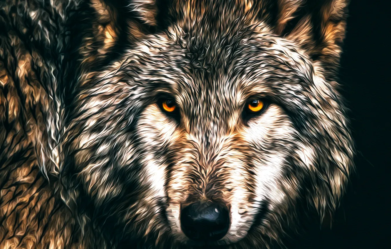 Фото обои волк, хищник, шерсть