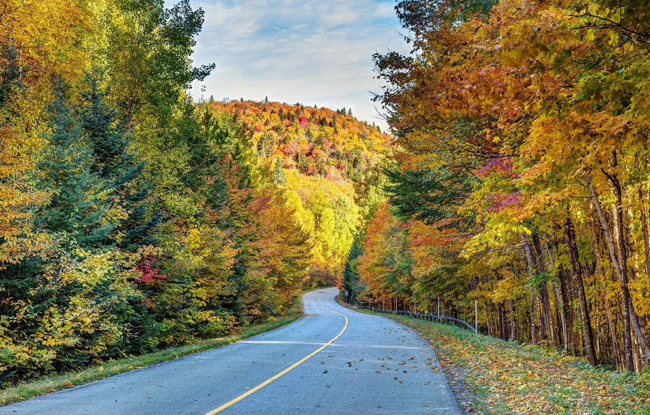 Фото обои дорога, осень, лес, деревья, Канада, Canada, Quebec, Квебек