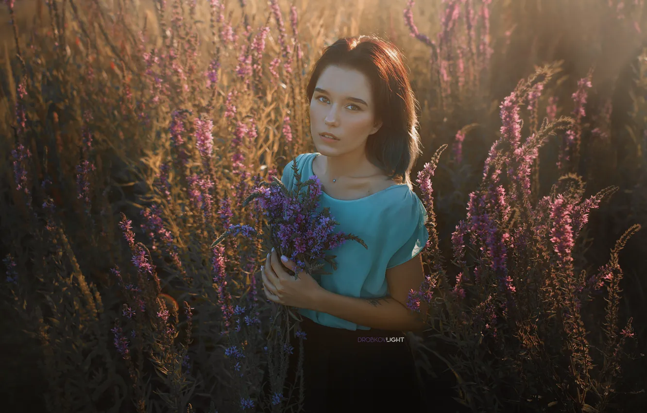 Фото обои взгляд, цветы, поза, модель, Девушка, Alexander Drobkov-Light, Мария Ларина