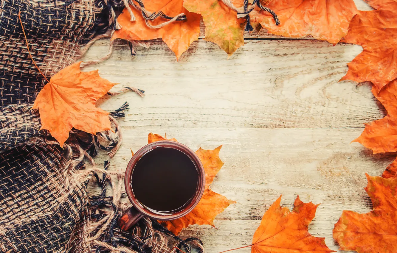 Фото обои осень, листья, плед, wood, autumn, leaves, coffee cup, чашка кофе