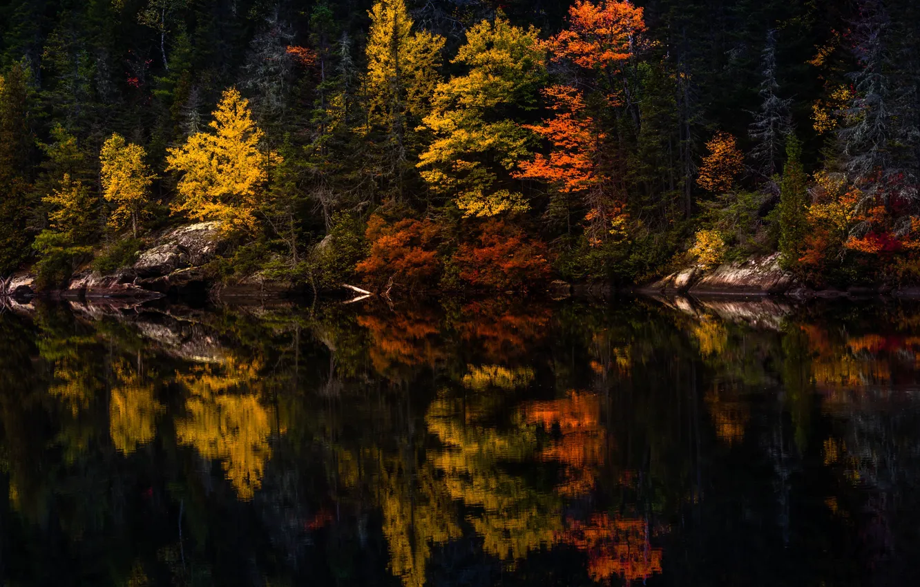 Фото обои осень, лес, деревья, озеро, отражение, камни, берег, водоем