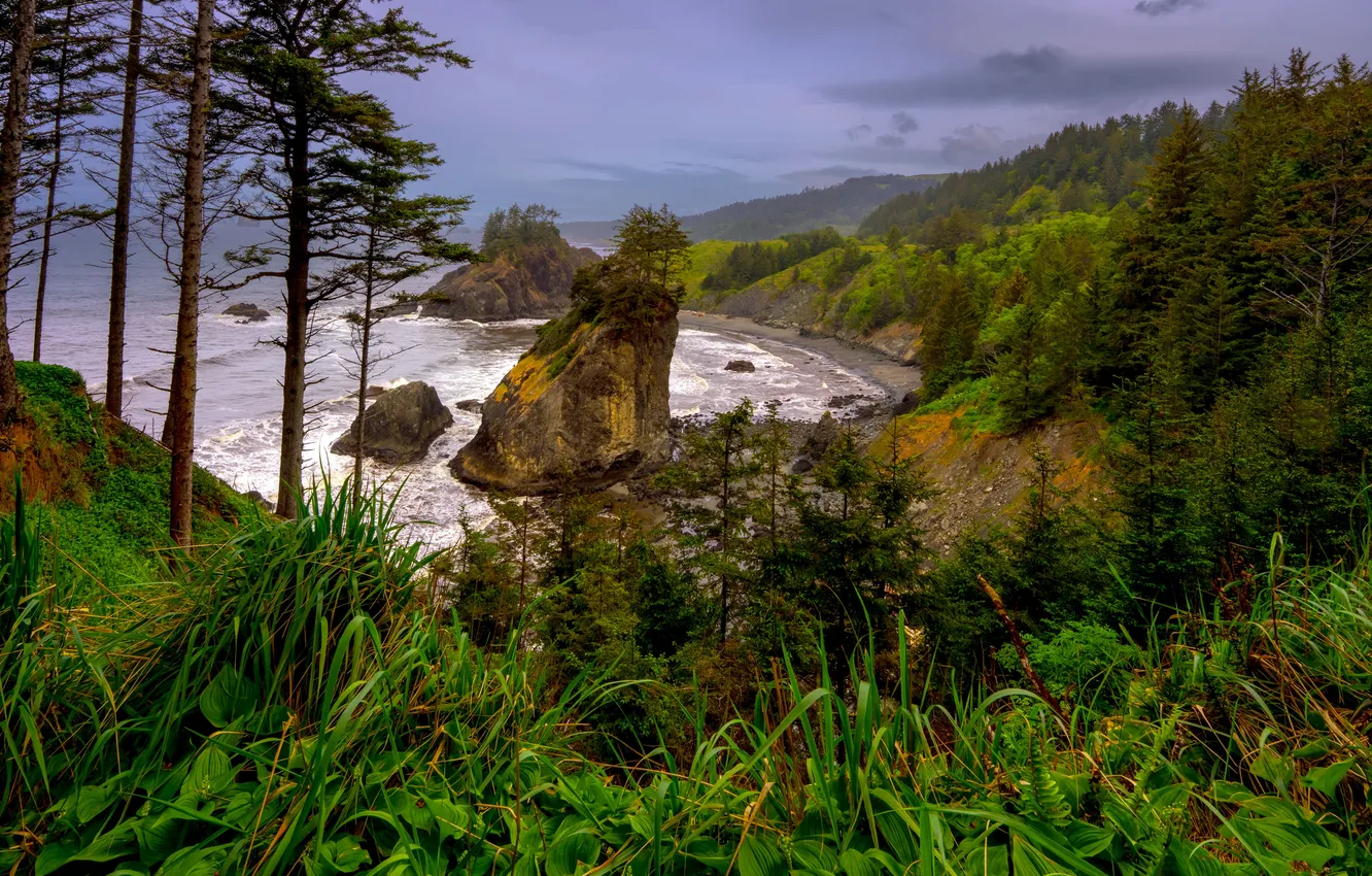 Фото обои море, лето, берег