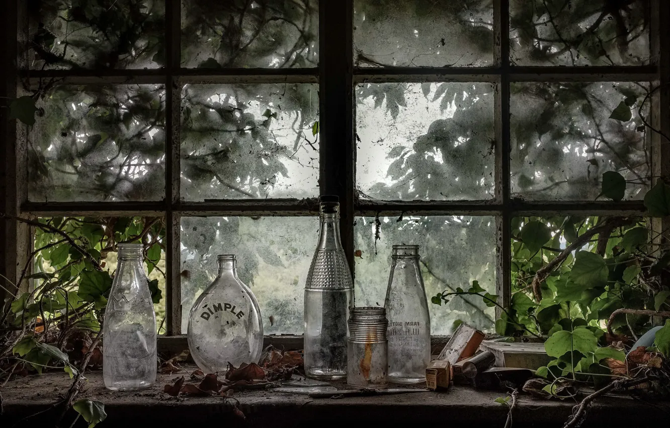 Фото обои фон, окно, банка