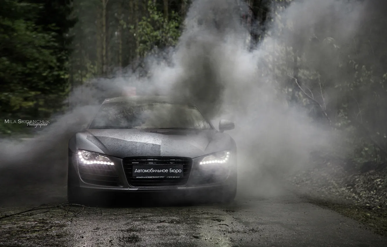 Фото обои car, машина, авто, лес, туман, дождь, ауди, audi