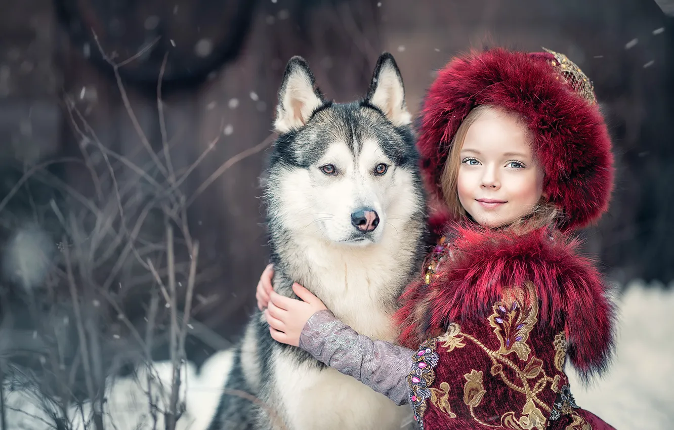 Фото обои собака, дружба, девочка, друзья, хаски, Ярослава Громова, Княжна