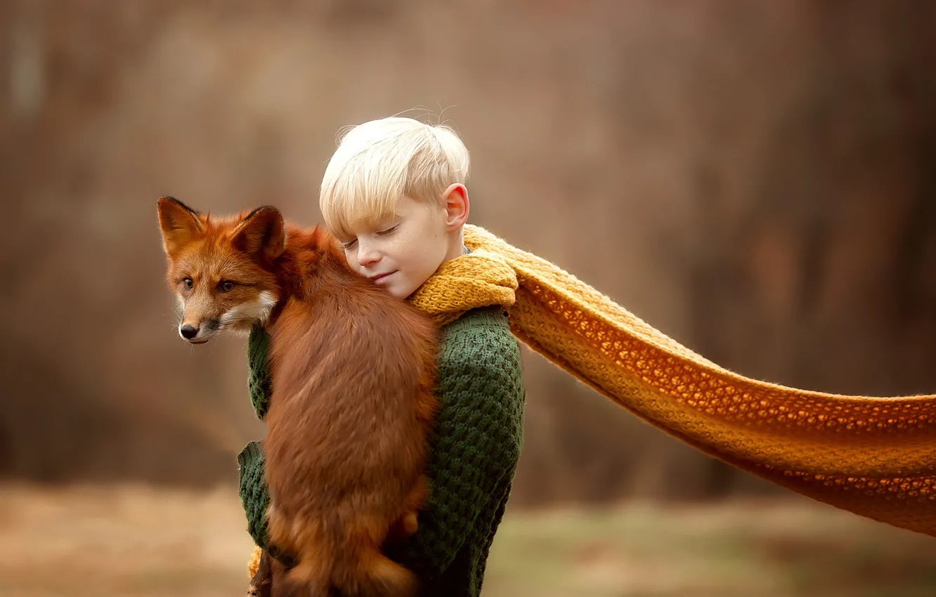 Фото обои настроение, мальчик, шарф, лиса, рыжая, друзья, боке, Юлия Соболева