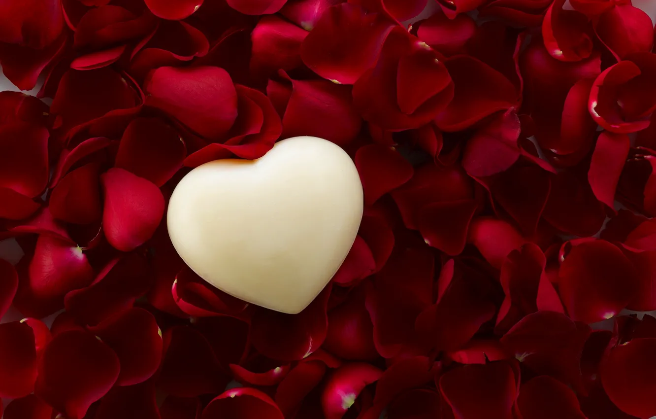 Фото обои любовь, сердце, розы, лепестки, love, heart, romantic, Valentine's Day
