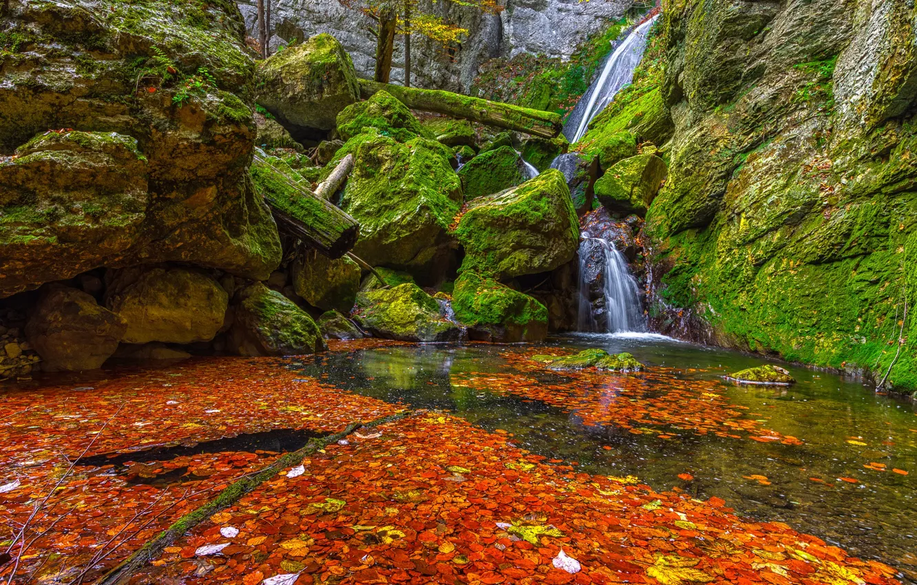 Фото обои осень, листья, камни, водопад, мох, зеленые, рыжие, оранжевые