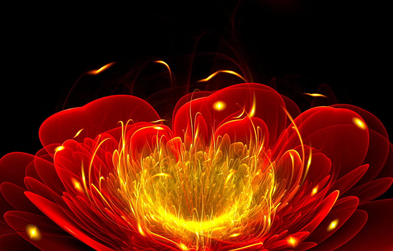 Фото обои цветок, свет, линии, пламя, лепестки, полумрак