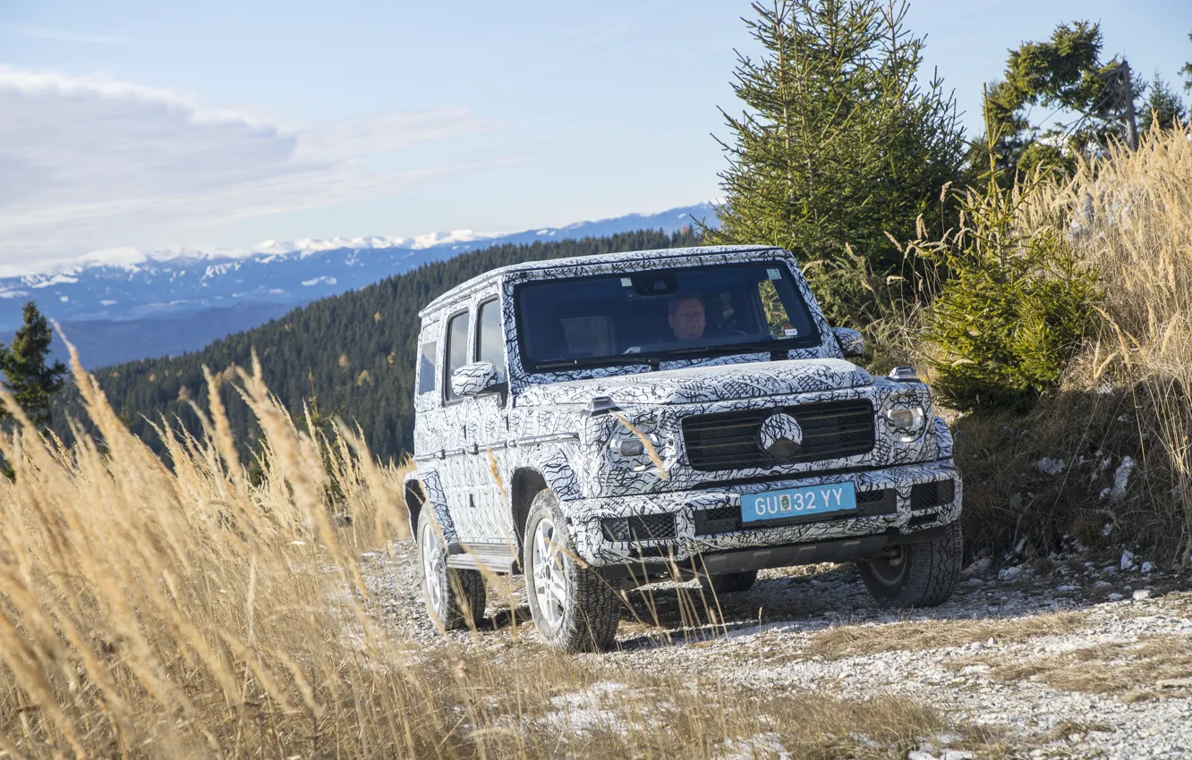 Фото обои лес, трава, горы, Mercedes-Benz, маскировка, 2018, G-Class