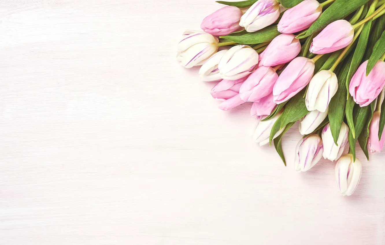 Фото обои цветы, фон, розовый, букет, тюльпаны, розовые