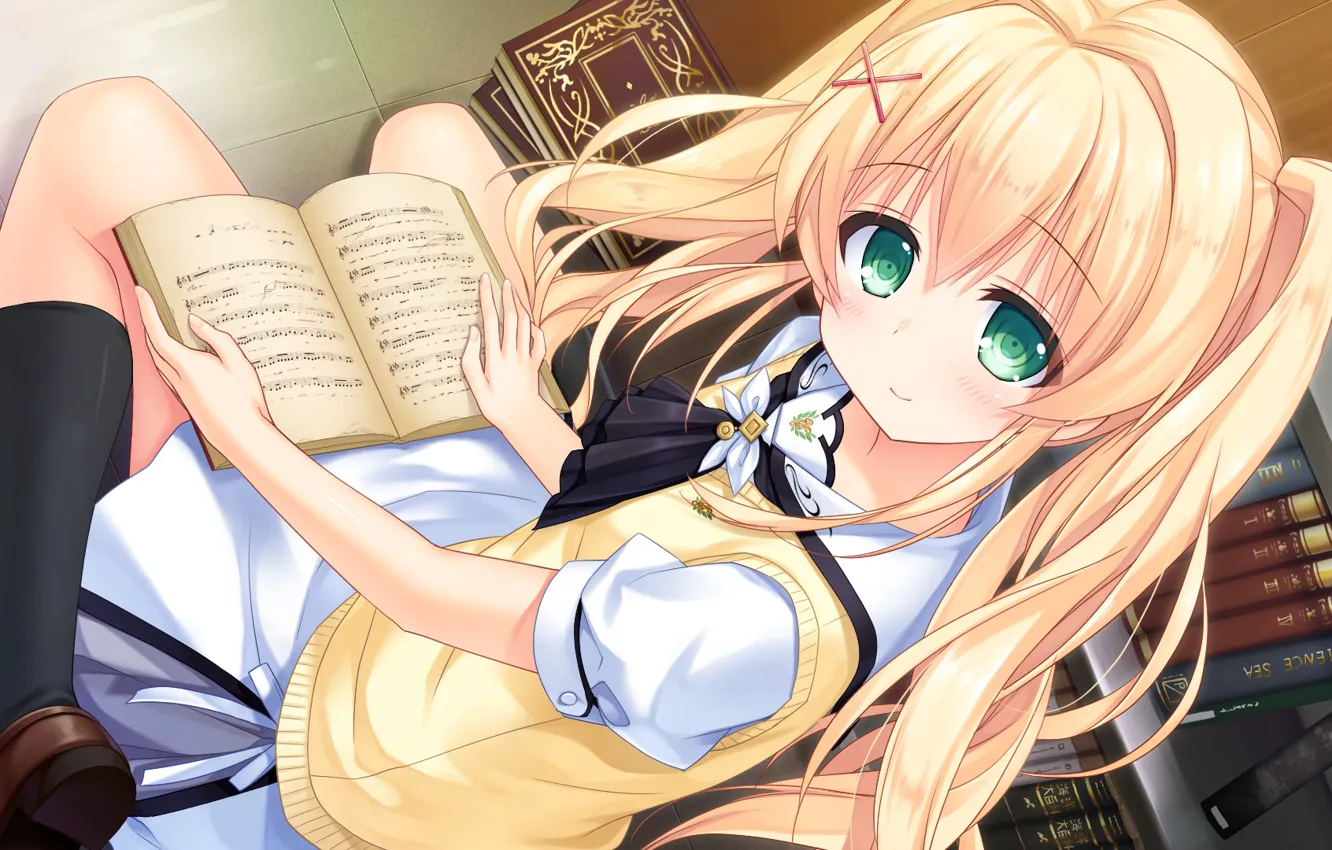 Фото обои взгляд, девушка, книга, Summer Pockets