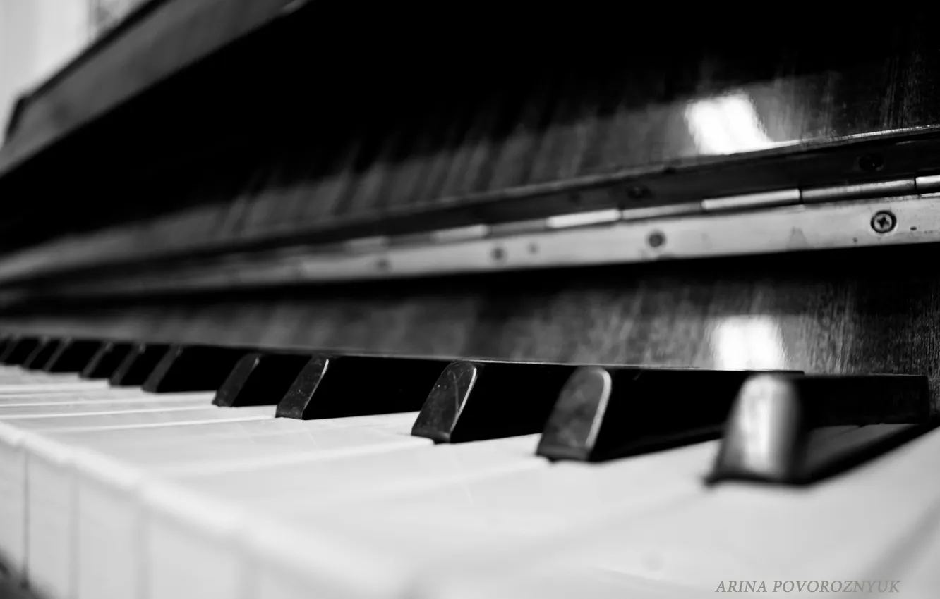 Фото обои макро, клавиши, черно-белое, фортепиано, пианино