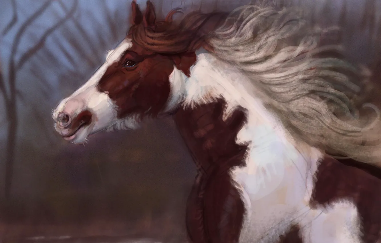 Фото обои природа, лошадь, бежит