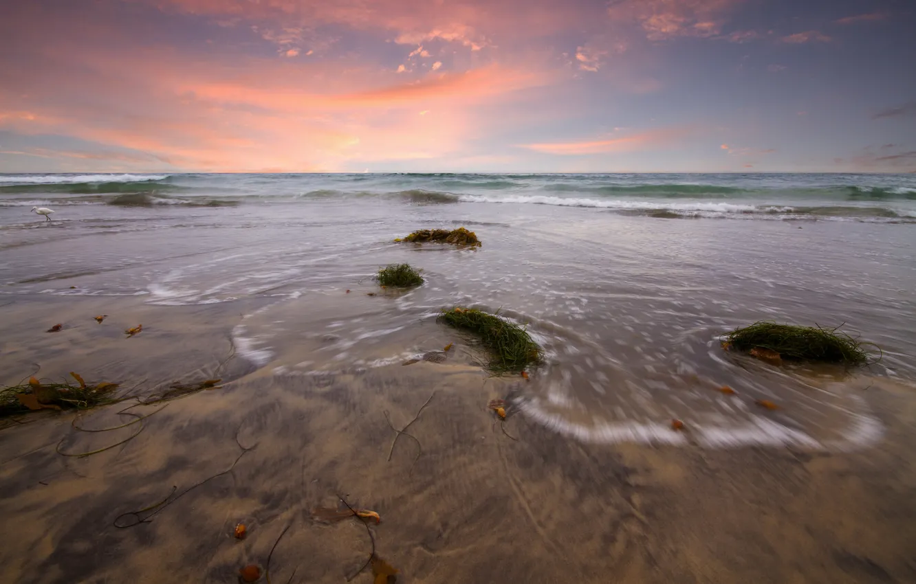 Фото обои песок, море, волны, пляж, водоросли