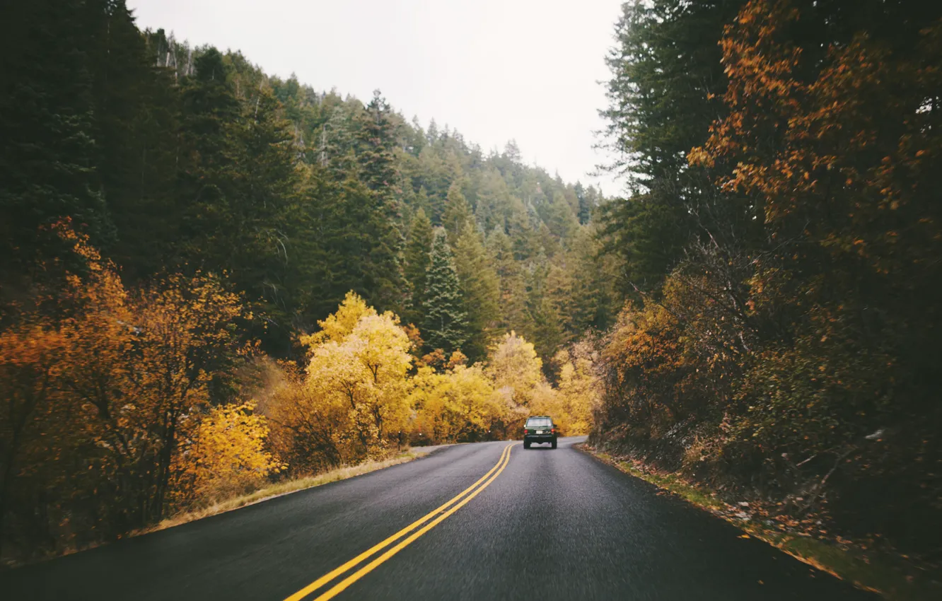Фото обои дорога, машина, осень, трасса