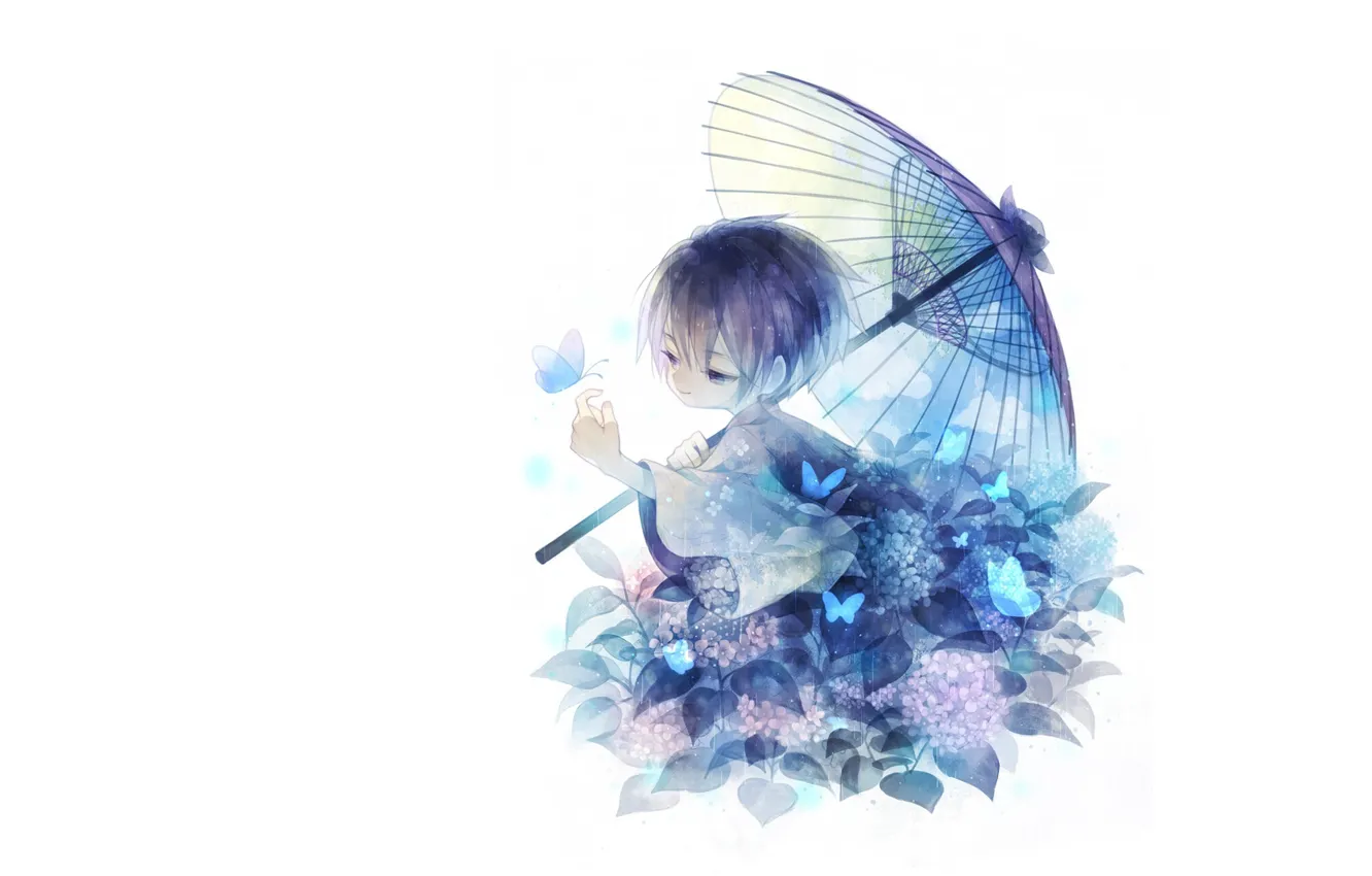 Фото обои листья, бабочки, ребенок, зонт, мальчик, белый фон, кимоно, гортнзия
