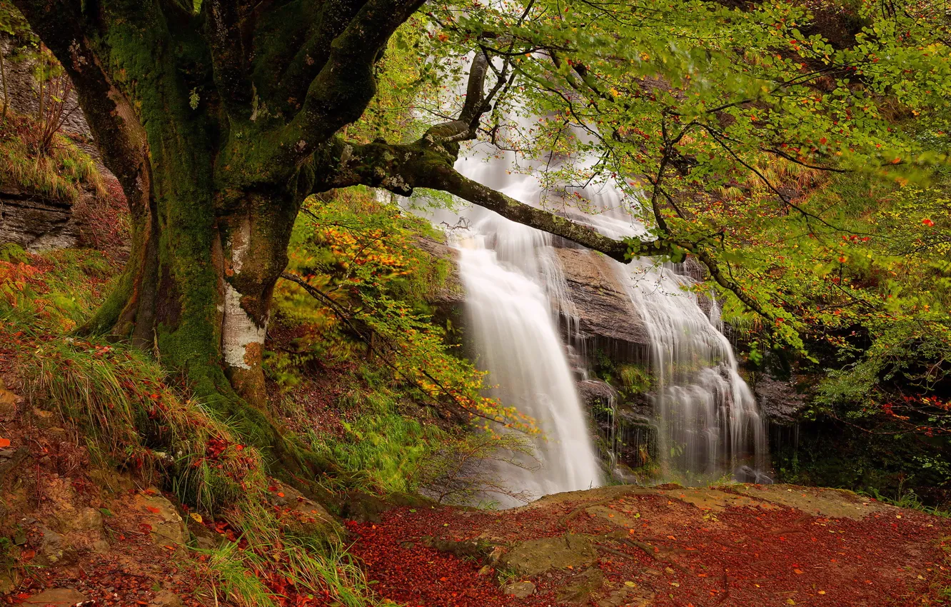 Фото обои осень, природа, водопад