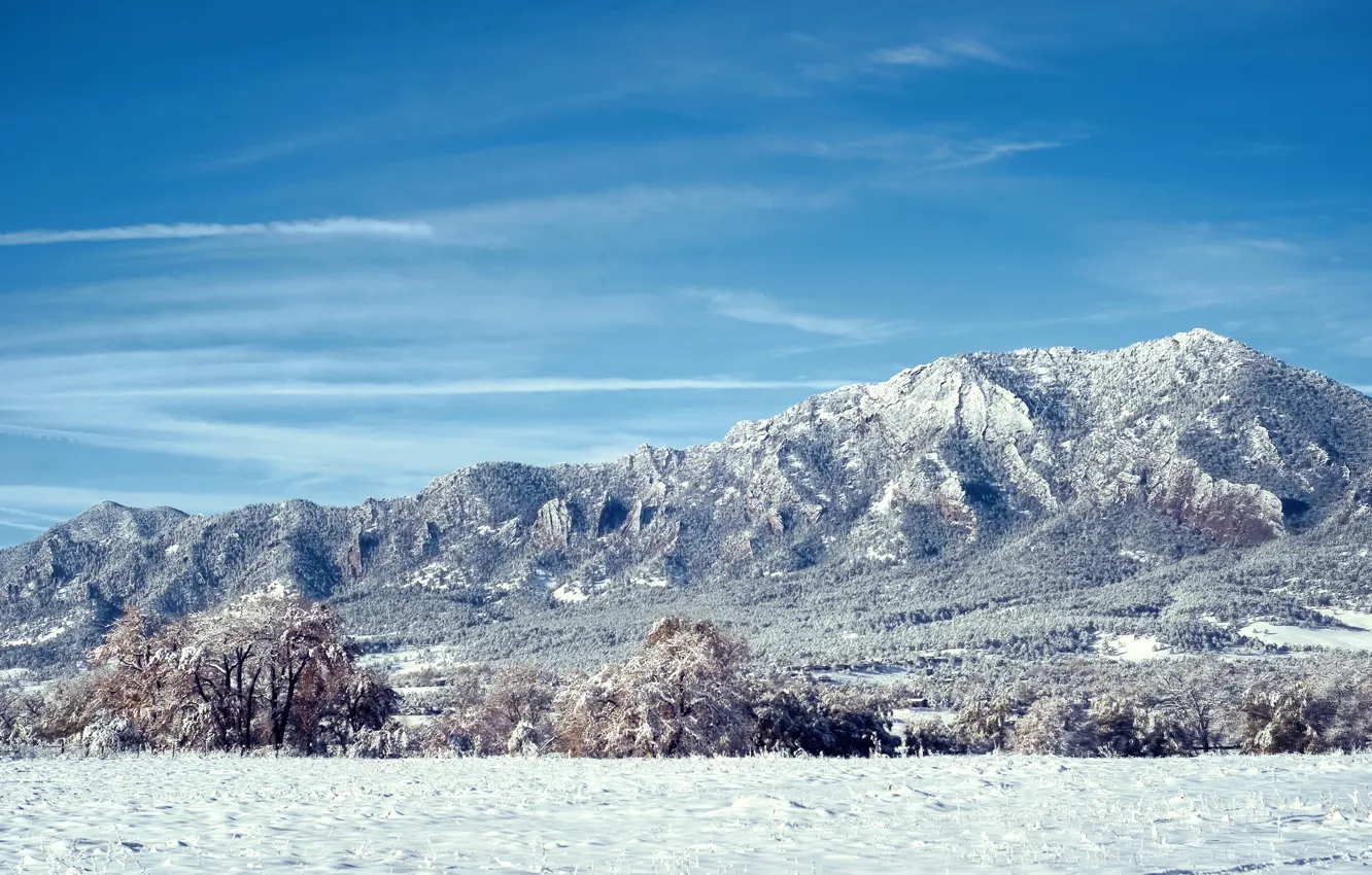 Фото обои снег, деревья, горы, Колорадо