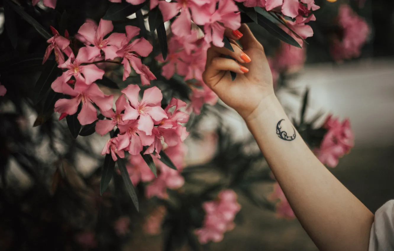 Фото обои цветы, рука, месяц, лепестки, тату, татуировка