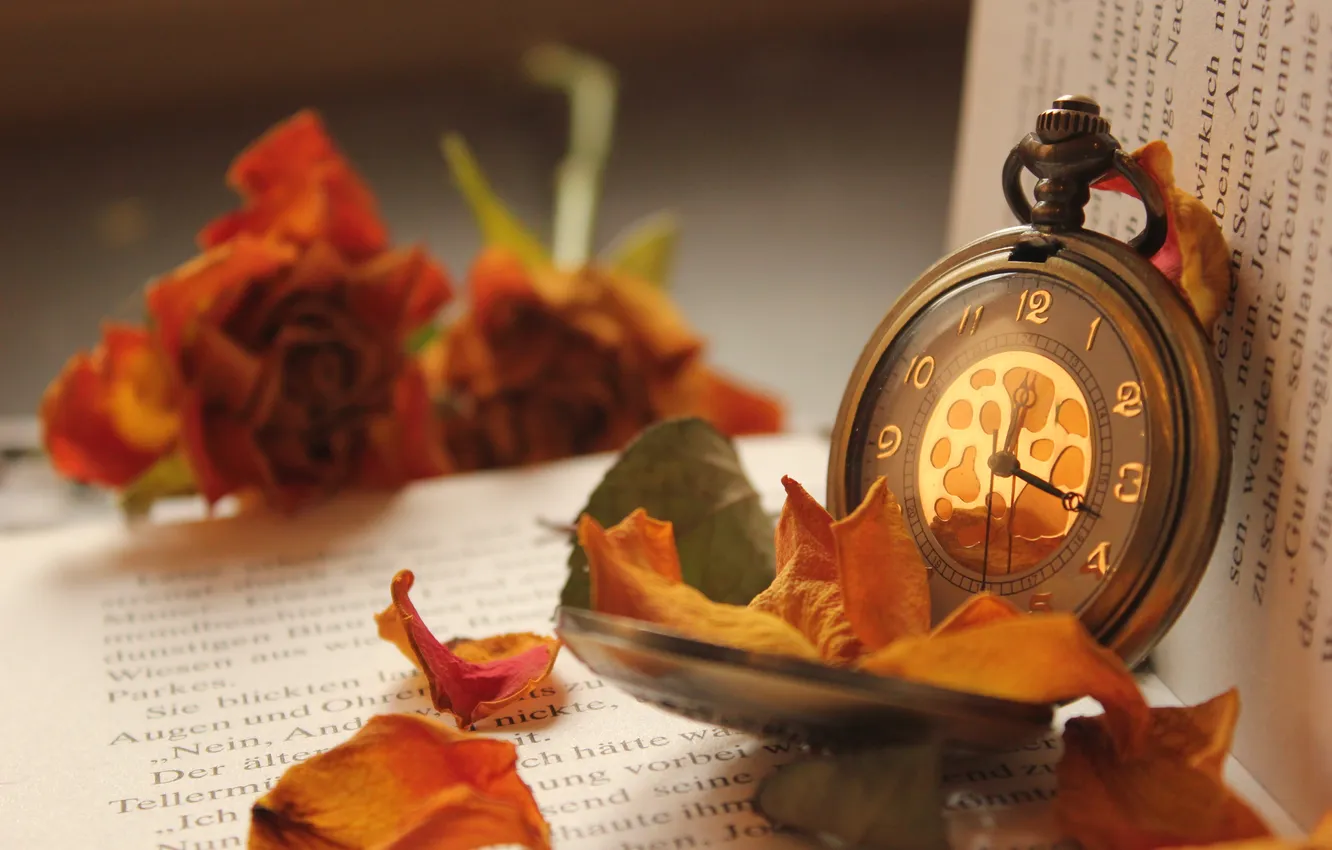 Фото обои цветок, макро, время, часы, лепестки, книжка